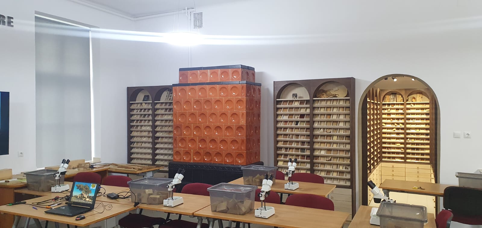 Amenajare Xiloteca la Facultatea de Silvicultura din Brasov
